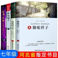 惠典正版2020年河北省七年级阅读 骆驼祥子老舍原著正版海底两万里林家铺子书哈利波特与死亡圣器书初中版 七年级课外阅读书