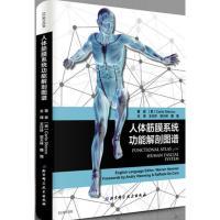 惠典正版人体筋膜系统功能解刨图谱 〔意大利〕卡拉 斯德科(Clara Stecco)；王行环,贺 医学 基础医学 解剖学