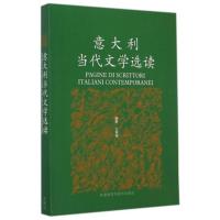 惠典正版意大利当代文学选读 沈萼梅 外语 意大利语 意大利语阅读 外语教学与研究出版社W