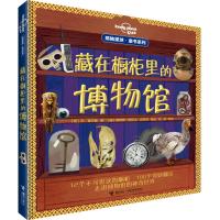 惠典正版孤独星球 童书系列 藏在橱柜里的博物馆 绘本 益智游戏 立体翻翻书 玩具书少儿 jl