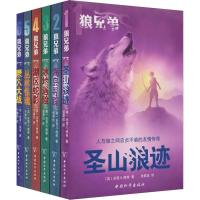 惠典正版正版 狼兄弟系列 套装6册奇幻冒险小说 圣山狼迹 海岛寻踪 冰地遇险 湖区蛇影 丛林惊魂 魔穴大战 书