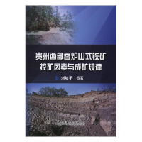 惠典正版正版 贵州西部香炉山式铁矿控矿因素与成矿规律 刘幼平 书店 矿业工程书籍