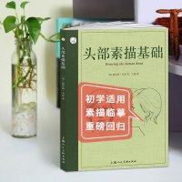 惠典正版西方经典美术技法译丛 头部素描基础人物素描 [英]路易丝·戈登医学图解教师 临摹研习实用指南