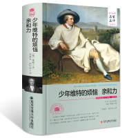 惠典正版少年维特的烦恼 和力 正版原著无删减全译本精装版 世界文学名家名译原著原版全中文完整版青少年读物