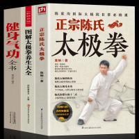 惠典正版正版全3册正宗陈氏太极拳+太极拳+健身气功全书零基础学正宗太极拳书籍太极基本功和谐太极十三式太极拳学