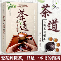 惠典正版茶道从喝茶到懂茶茶的书籍茶类书籍茶 书普洱茶书籍中国茶道 书茶叶书籍大全 茶文化茶书茶书籍大全茶艺书