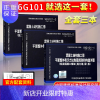 惠典正版16g101系列图集全套3本 图集16G101-1/2/3全套 平法钢筋图集 混凝土结构施工图 替代