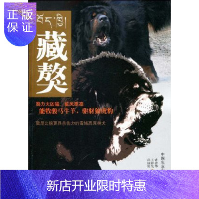 惠典正版藏獒 孙国宾主编 藏獒养殖百科全书 经典之作