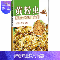 惠典正版黄粉虫家庭养殖创业入门 占家智,羊茜 编 养殖科技 中国农业科学技术出版社 978751164