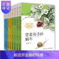 惠典正版新版杨红樱画本科学童话系列全8册书籍森林迷案+了不起的鱼爸爸+穿救生衣的种子 7-10岁