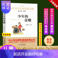 惠典正版正版 少年的荣耀 中小学生课外阅读经典丛书 名家经典 曹文轩推荐 教育协会副会长朱永新审定 新品