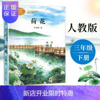 惠典正版正版 人教统编语文教材配套阅读 荷花 三年级下册
