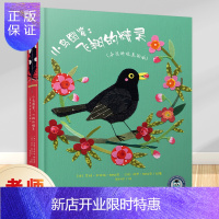 惠典正版小鸟图鉴:飞翔的精灵(布艺拼贴美绘版)儿童绘本故事书 幼儿园老师推荐