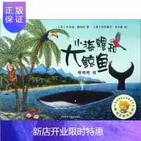 惠典正版小海螺和大鲸鱼2F聪明豆绘本系列