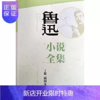 惠典正版鲁迅小说全集(丁聪插图本)