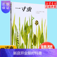 惠典正版正版精装信谊绘本 一寸虫 幼儿童宝宝亲子情商成长启蒙童话故事图画书籍0-2-3-4-5-6-7-8岁