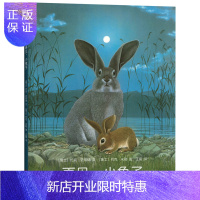 惠典正版再见,小兔子 (爱心树童书)