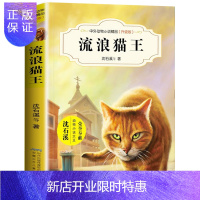 惠典正版 流浪猫王 中外动物小说精品升级版非注音 沈石溪著 7-8-9-12周岁儿童文学三四五六年级小学生课