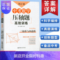 惠典正版周计划中考数学压轴题高效训练三角形与四边形 刘弢吕春昕主编附详解答案和解题思路九年级中考数学初中数学