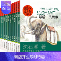 惠典正版沈石溪画本辑全套10册第七条猎狗/一头战象/白象家族/红奶羊儿童文学动物小说儿童动物故事书小学生课外
