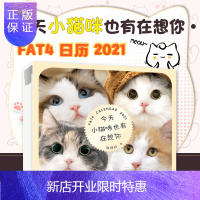 惠典正版小猫咪也有在想你 郭斯特2021周历猫咪摄影画册写真周历小狐狸妖怪镇喵星人台历2021创意摆件猫在一