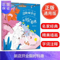 惠典正版波斯猫派克在冬天的奇遇高洪波著拼音王国名家经典书系小学生一二年级童话故事课外读物6-10岁少年儿童文