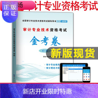 惠典正版新版2020年审计师考试初级金考卷审计理论与实务审计相关知识审计师初级考试