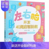 惠典正版左右脑开发:40周启智胎教 奥视读乐 育儿 9787518431229 胎教//基本知识 普通大众
