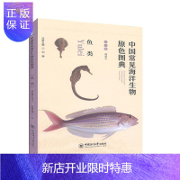 惠典正版中国常见海洋生物原色图典——鱼类 科普读物 刘静 中国海洋大学出版社 97875670177
