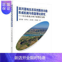 惠典正版滨河湿地生态系统服务功能形成机制与恢复理论研究——以小浪底大坝下游滩区为例 科学与自然 赵同谦[等]