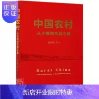 惠典正版中国农村(从小康到全面小康)孔祥智社会科学9787300287195 农村经济发展研究中国普通大众