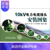 惠典正版10kV电力电缆接头安装图集艾占生工业技术9787512323988 电力电缆电缆接头安装图集青年