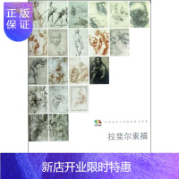 惠典正版拉斐尔素描-中国高等艺术院校教学范本人民美术出版社绘画9787102058450