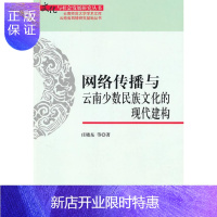 惠典正版网络传播与云南文化的现代建构庄晓东等文化9787030284266 计算机网络传播媒介影响少数民族