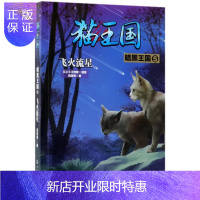 惠典正版猫王国·暗黑王国.5,飞火流星凤青钗文学9787122320490 儿童小说长篇小说中国当代