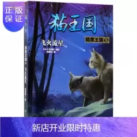 惠典正版猫王国·暗黑王国.5,飞火流星凤青钗文学9787122320490 儿童小说长篇小说中国当代