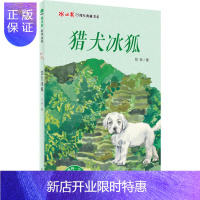 惠典正版猎犬冰狐