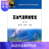 惠典正版石油气液两相管流(第2版高等院校石油天然气类规划教材)