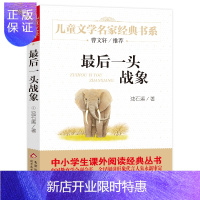 惠典正版一头战象 儿童文学名家经典书系 沈石溪 曹文轩推荐 沈石溪动物小说书籍