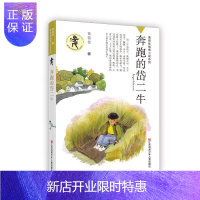 惠典正版黄蓓佳倾情小说:奔跑的岱二牛