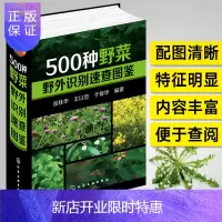 惠典正版500种野菜野外识别速查图鉴 岳桂华,王以忠,于爱华中医养生保健书籍大全自然科学 生物科学 植物学健