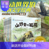 惠典正版小果树彩绘西顿动物记故事绘本 全套10册 儿童动物百科 3-6-9-12岁感动世界的动物文学经典B