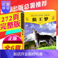 惠典正版狼王梦 沈石溪正版/动物小说/全套集系列/全本品藏故事书/荣获儿童文