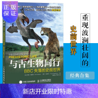 惠典正版与古生物同行 BBC失落的史前世界 动物视觉百科 世界动物名录 远古生物 两栖动物 恐龙体型