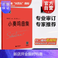 惠典正版新版 小奏鸣曲集 大字版大符头钢琴系列教程红皮书 钢琴初级练习曲集 乐谱五线谱自学入门基础教材教程书