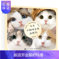 惠典正版今天小猫咪也有在想你