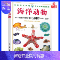 惠典正版正版 大自然博物馆百科珍藏图鉴系列 海洋动物 大自然鱼类图鉴 青少年中小学生动植物科普百科全书 生活