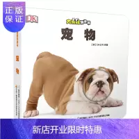 惠典正版大眼睛洞洞书: