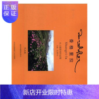 惠典正版香格里拉:本土摄影师作品集扎西罗丹摄影9787512209664 风光摄影中国现代摄影集