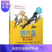 惠典正版拼只鸟:超有趣的鸟类科普与积木拼搭书:家门口的鸟鹰之舞朱雷科普读物9787115545473 鸟类普